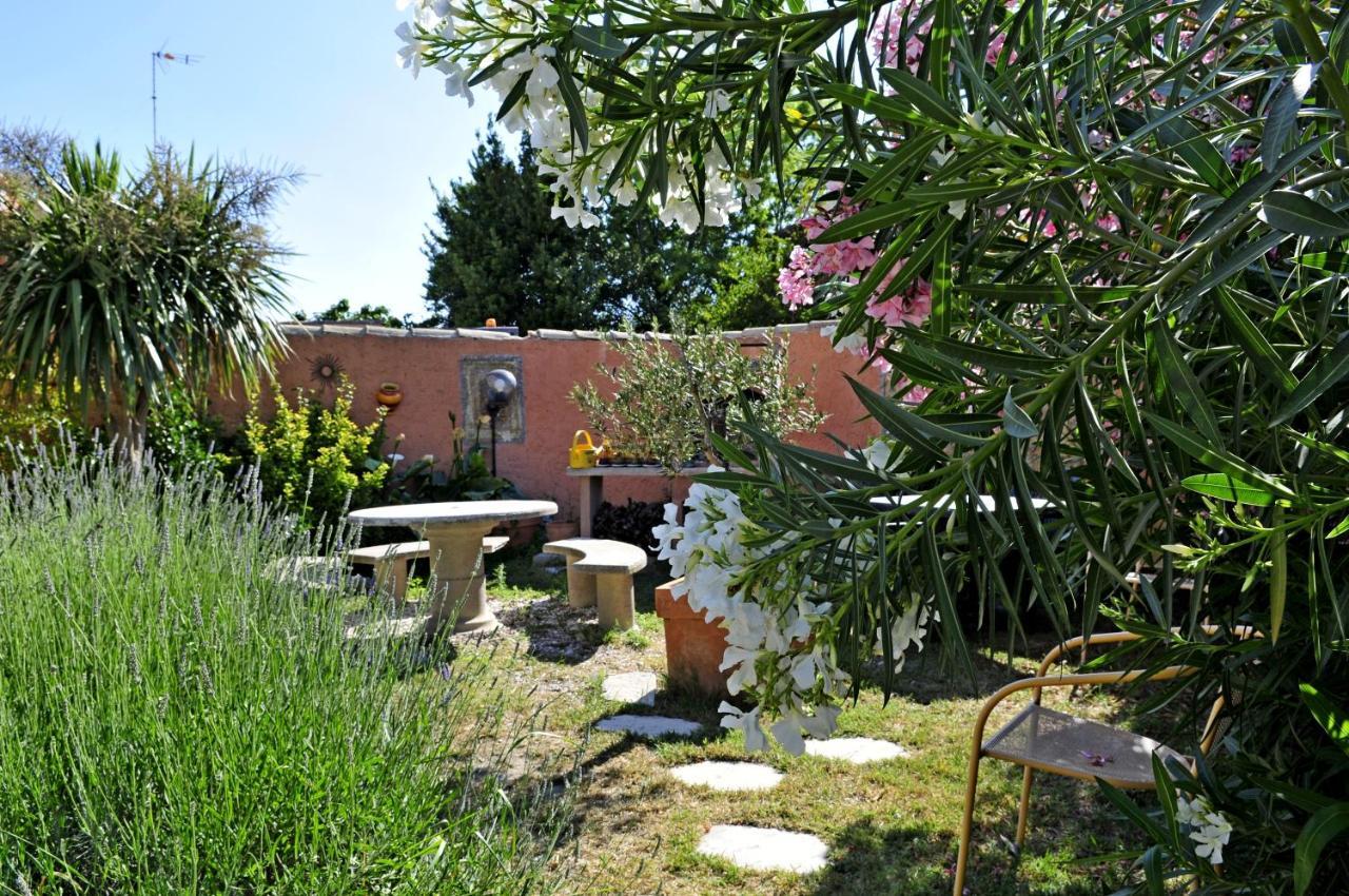 Maison Des Croisades Aigues-Mortes Luaran gambar